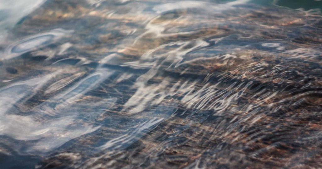 Top 5 Best Managed WordPress Hosting Services for 2026