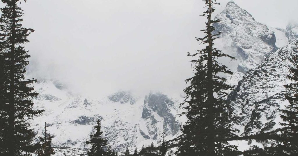 The Future of Web Hosting: 2026 Market Trends and Growth Projections