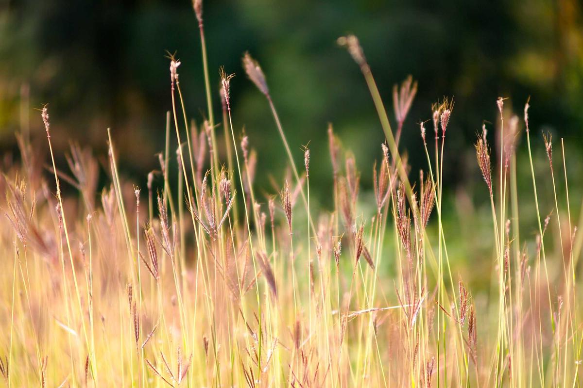 Legal Industry Dedicated Servers eDiscovery